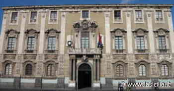 Sul sito del Comune di Catania la graduatoria per 26 figure tecniche - La Sicilia