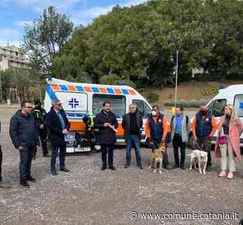 Tutela animali, “Catania Dog Card” rete di solidarietà per sostenere le adozioni dai canili - Comune di Catania