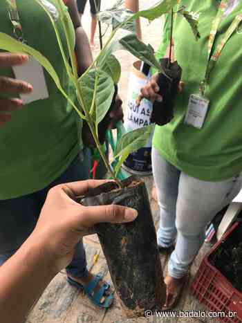 Mauriti realiza Festa Anual das Árvores – Badalo - Badalo