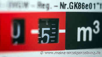 Energieverband: Bund soll Notfallplan für Gas ausrufen – Top-Ökonom: „Embargo wahrscheinlicher geworden“ 