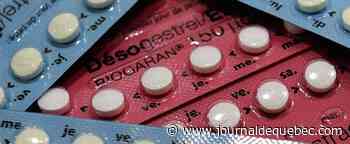 Une pilule contraceptive pour homme efficace à 99% sur les souris