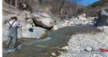 "Il faut prendre la situation au sérieux": le syndicat mixte Smiage s'inquiète de la sécheresse sur la Côte d'Azur