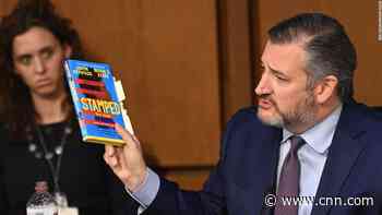 What the children's books Ted Cruz referenced at Ketanji Brown Jackson's confirmation hearing really say