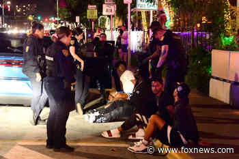 Miami Beach violence driven by gun-toting spring breakers coming in by car