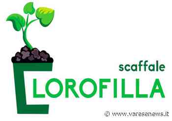 Alla biblioteca di Garbagnate Milanese un nuovo "Scaffale clorofilla" - varesenews.it