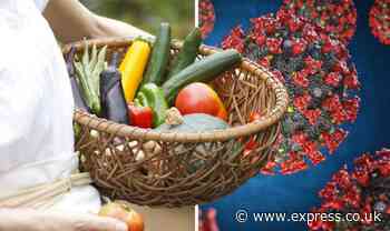 Coronavirus: Vegetable compound could slash risk of lung injury from Covid by 29% - Express