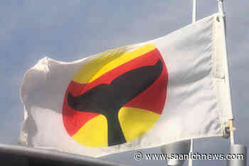 Group looks to better protect whales from human-caused hazards – Saanich News - Saanich News