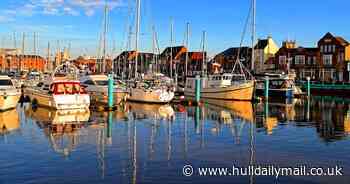 Hull set to bask in Spring sunshine ahead of warm weekend - Hull Live