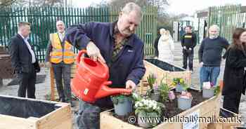 Prison inmates turn pallets into planters for new Hull community allotment ptoject - Hull Live
