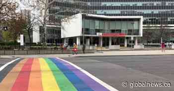 New program available for Hamilton businesses to identify as safe spaces for LGBTQ2 community