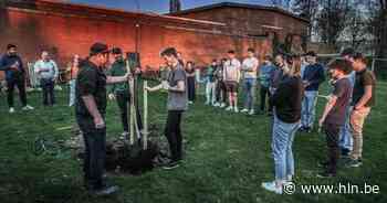 Leden Jakkedoe planten boom als eerbetoon aan overleden Becky (24) - Het Laatste Nieuws