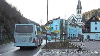 Polizei ermittelt - Busfahrer in Lauterbach bespuckt - Streitgrund Maskenpflicht - Schwarzwälder Bote