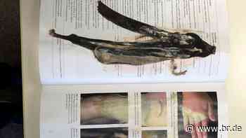 Ekel-Lesezeichen der Bibliothek in Erlangen sorgt für Furore - br.de