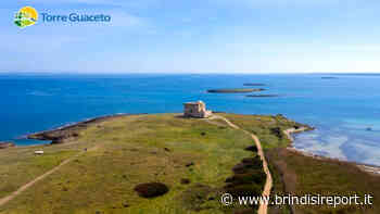 Turismo, gli assessori Lopane e Delli Noci incontrano gli operatori del Brindisino - BrindisiReport