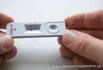 People age 18 and up can get free COVID-19 rapid tests at B.C. pharmacies - Dawson Creek Mirror