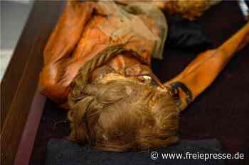 Archäologiemuseum Chemnitz: Keine Mumie aus Russland in nächster Ausstellung - freiepresse.de