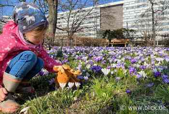 Der Frühling ist da! Chemnitz blüht auf - Blick.de