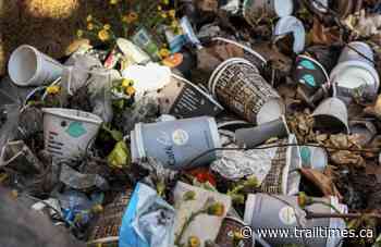 The problem with absentee landlords in Trail - Trail Times