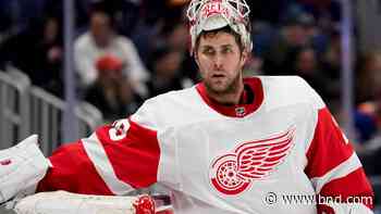 Nelson, Sorokin lead Islanders past Red Wings 5-2 - Belleville News-Democrat