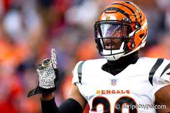 Grading the Cincinnati Bengals free agent signings from Day 4 - Stripe Hype
