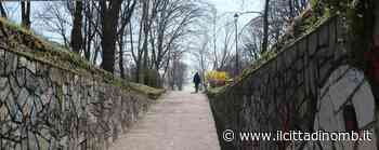 Plogging, il giro d'Italia fa tappa a Monza: pulizie di corsa e una nuova quercia - Il Cittadino di Monza e Brianza