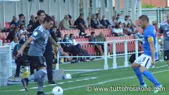 CALCIOMERCATO - Monza, per l'attacco della prossima stagione si pensa ad un ex canarino - Tuttofrosinone