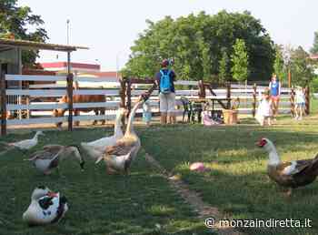 Domenica 27 marzo open day all'ENPA di Monza - Monza in Diretta