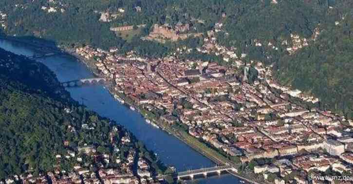 Heidelberg-Studie:  Die Stadt wird immer familienfreundlicher