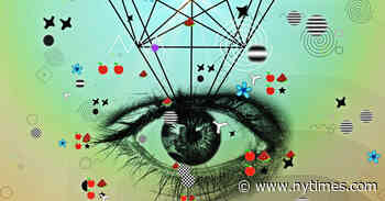 Is Our Ability To Distinguish Geometry What Distinguishes Humans?