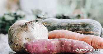 Alken krijgt vanaf dinsdag eigen afhaalpunt voor korte keten - Het Laatste Nieuws