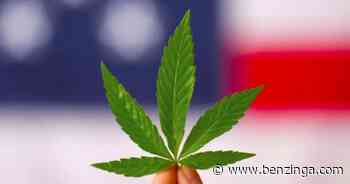 New BDSA Rapid Retail Sales Tracking Shows Upswing in February and March - Benzinga