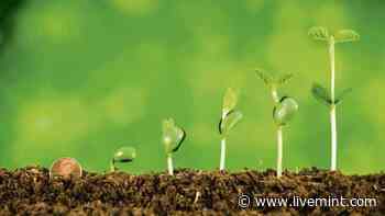 Is RBI’s retail direct scheme a good option for investors? - Mint