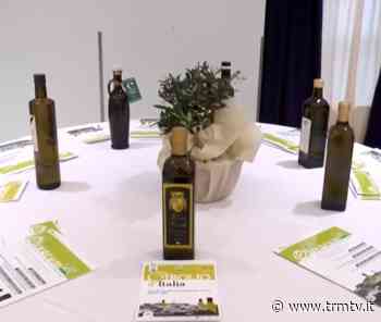 Premio Olivarum. Il 24 marzo a Melfi (PZ) cerimonia finale - TRM Radiotelevisione del Mezzogiorno