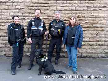 Chorley: Sniffer dogs discover 65 packs of 'illegal' tobacco