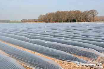 Spargelsaison startet mit Hindernissen