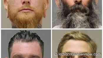 Witness: Whitmer kidnapping aimed at stopping Biden win - Lethbridge News Now