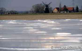 Lebensmittel - Verband: Keine großen Preissprünge bei erstem Spargel - Neue Presse Coburg