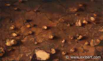 Nicola Samorì: una pinacoteca orizzontale a Villa d’Este - ExibArt