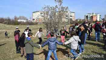 Inaugurato il Bosco urbano Parma Mia: mille alberi per dare ossigeno e socialità al quartiere - La Repubblica
