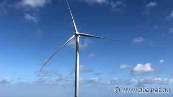 Chill wind: Major renewable energy investor says wind farm ruling to have 'disastrous' effect