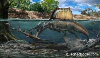Dense Bones Allowed Spinosaurus – The Biggest Carnivorous Dinosaur Ever Discovered – To Hunt Underwater