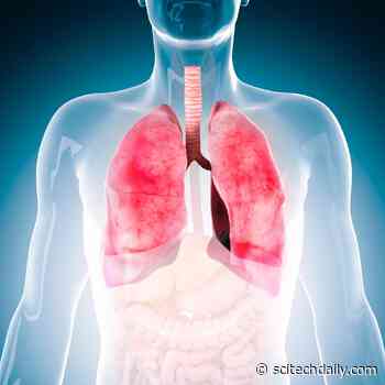 Experimental Drug Could Help People With Asthma, COPD, Cystic Fibrosis and Cancer-Related Lung Disease