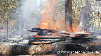 Meterhohe Flammen: Holzstämme brennen im Wald bei Albaching