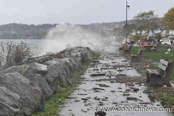 Coordinated effort needed for Sidney to reach ambitious climate change goals – Saanich News - Saanich News