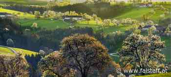 Best of: Frühlings-Rezepte aus dem Mostviertel