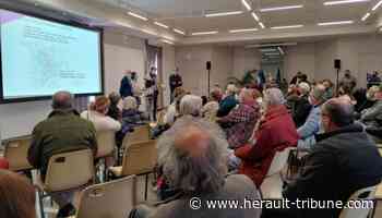 Frontignan : les dates des réunions des nouveaux comités habitants - Hérault Tribune