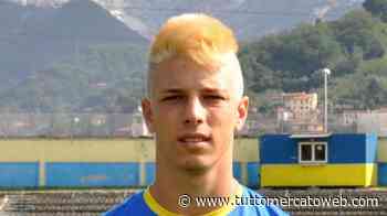 TMW - Ancona Matelica, Rolfini: "Il Girone B è il più tosto dei 3. Playoff? Serve la matematica..." - TUTTO mercato WEB