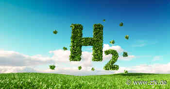 Uni Jena entwickelt System zu lichtgetriebener Wasserstoffgewinnung: Zeitung für kommunale Wirtschaft - Zeitung für kommunale Wirtschaft