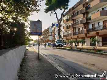 Trani, dal comitato lungomare e via Malcangi la denuncia: «Scomparsi diversi alberi ad alto fusto» - Radio Bombo