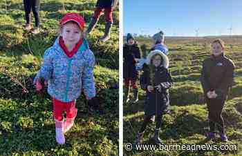 Girlguiding East Renfrewshire: Tree planting initiative - Barrhead News